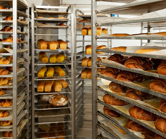 Tanvi Hotel Equipment - Commercial Bakery Equipment Services in Delhi